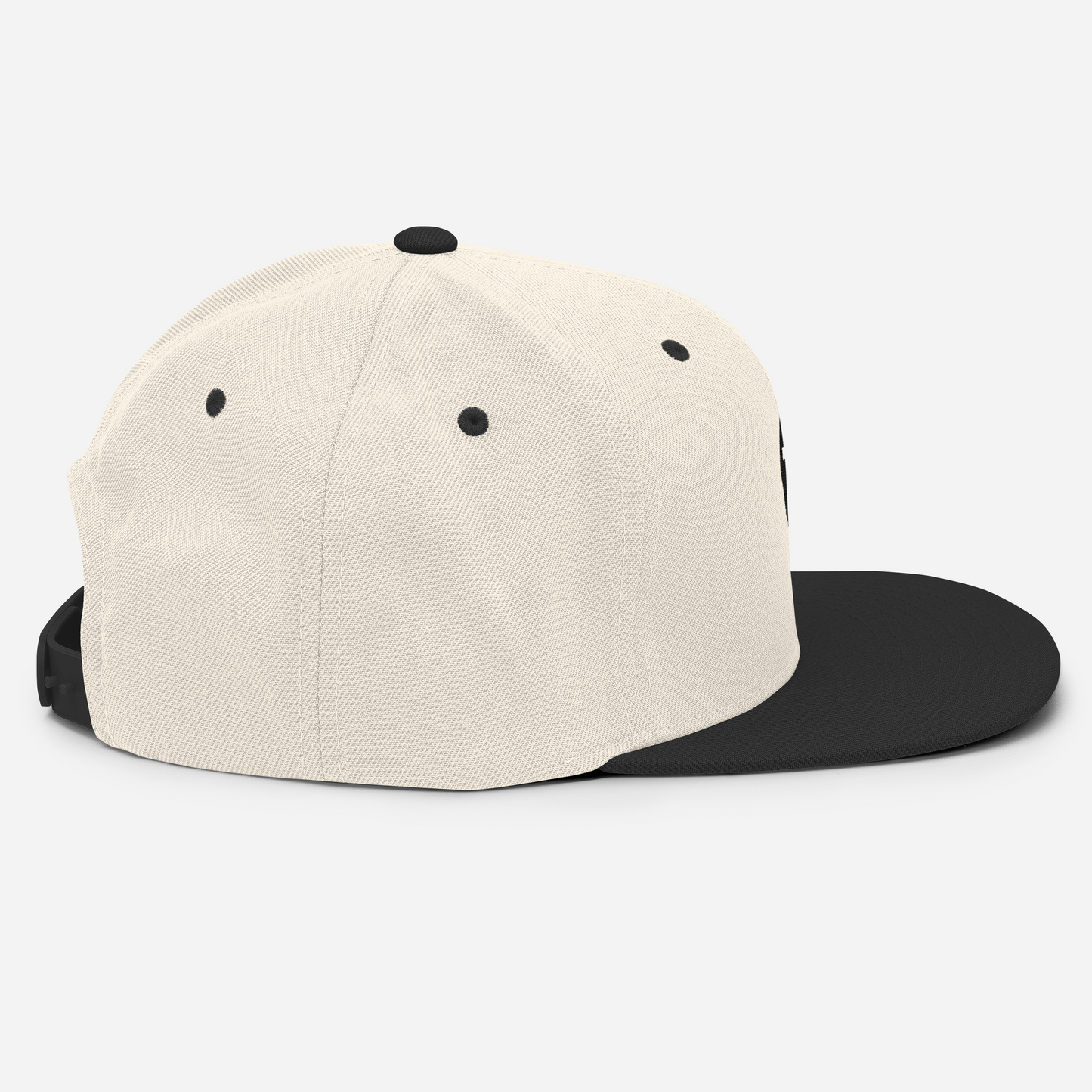 GDG Snapback Hat